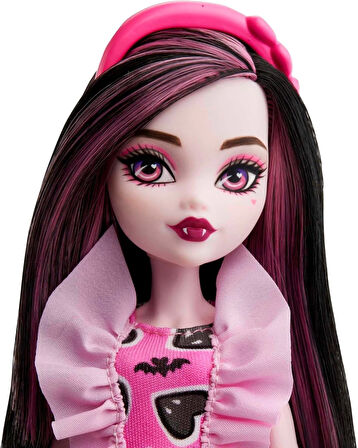 Monster High Ana Karakter Bebekler Draculawra HKY74