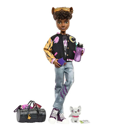 Monster High Ana Karakter Bebekler HPD53 HNF65 Rockseena