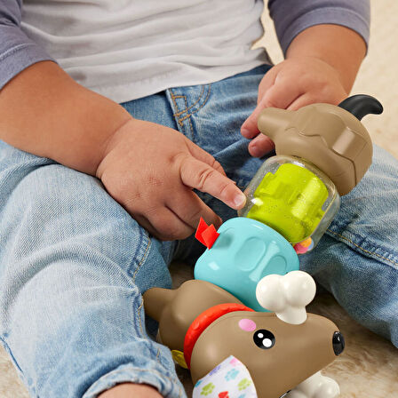 Fisher-Price Köpekçikle Eğlenceli Aktiviteler HTW91