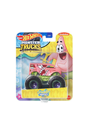 Hot Wheels Monster Trucks Gösteri Dünyası Temalı 1:24 Arabalar HWN77