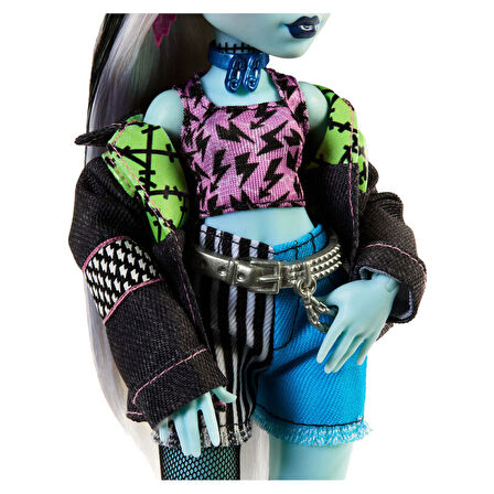 Monster High Acayip Havalı Arkadaşlar HPD53-HXH73