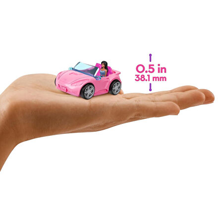 Mini Barbieland Araçlar HYF38-HYF42