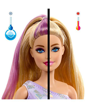 Barbie Party Unboxed Köpeğimin Doğum Günü Serisi JFG70