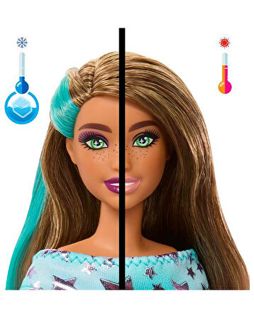 Barbie Party Unboxed Köpeğimin Doğum Günü Serisi JFG72