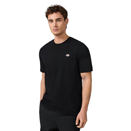 Dickies Mapleton Ss Tee Erkek Siyah T-Shirt
