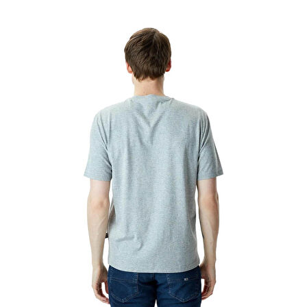 Dickies Mapleton Ss Tee Erkek Gri T-Shirt