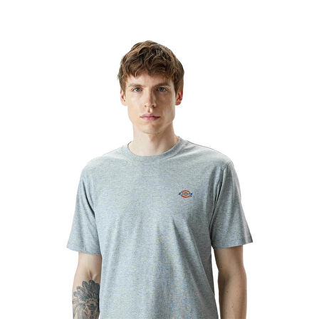Dickies Mapleton Ss Tee Erkek Gri T-Shirt