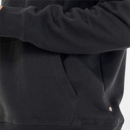 Dickies Oakport Hoodie Erkek Sweatshirt