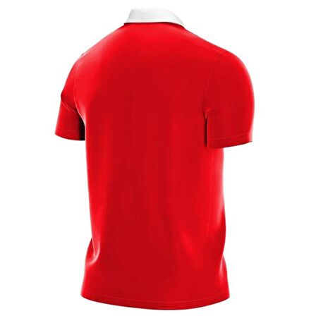 Nike CW6933-657 M Nk Df Park20 Polo Ss Erkek Polo T-Shirts