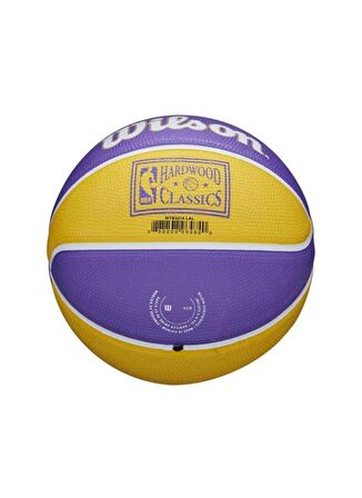 Wilson Basketbol Topu, 3, Mor - Sarı