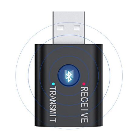 ALLY 2in1 Bluetooth 5.0 Mini USB Adaptör+Fm Transmitter