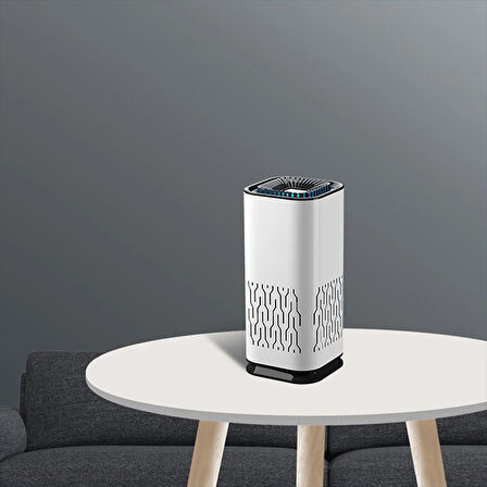 Ally K2 Hava Temizleyici Araba Ev Ofis Tasinabilir Air Purifier