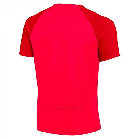 Nike DH9225-635 Dri-Fit Academy Pro Erkek T-Shirt