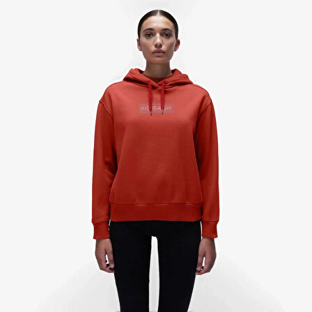 B-BOX LOGO H W