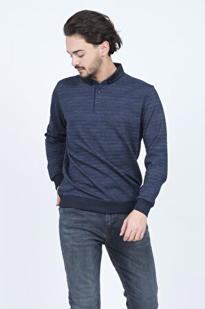 Raymons Erkek Desenli Polo Yaka Triko Sweat 6782252 Lacivert