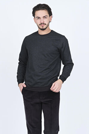 Raymons Erkek Desenli Bisiklet Yaka Triko Sweat 6782270 Siyah