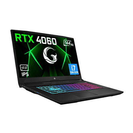 Game Garaj Slayer3 7XL-4060 V2 C1 Intel Core i7 13700H 16GB RAM 1TB SSD RTX4060 17.3" FHD 144Hz IPS FreeDOS Dizüstü Bilgisayar + Çanta