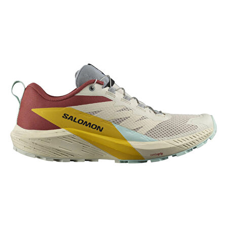 Salomon Sense Ride 5 Erkek Patika Koşu Ayakkabısı