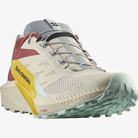 Salomon Sense Ride 5 Erkek Patika Koşu Ayakkabısı