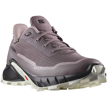 Salomon L47311000 Alphacross 5 Gtx W Kadın Koşu Ayakkabısı