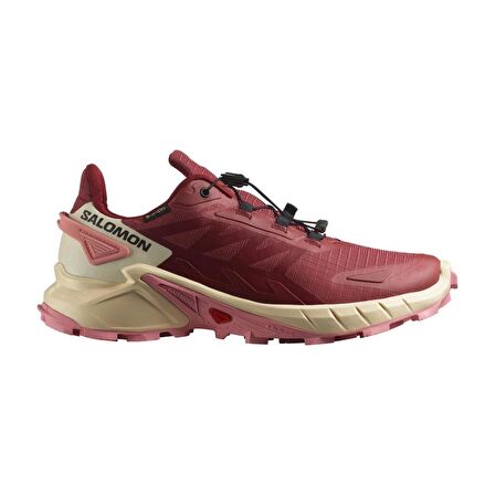 Salomon Supercross 4 Gtx W Kadın Koşu Ayakkabısı