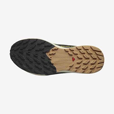 Salomon Sense Ride 5 Erkek Koşu Ayakkabısı