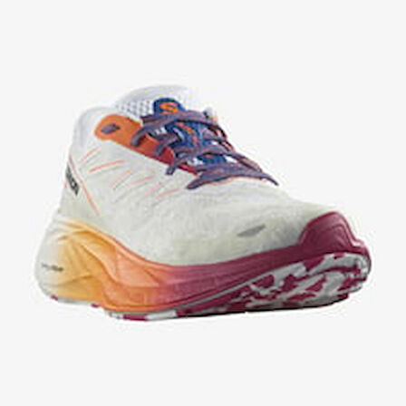 SALOMON AERO GLIDE 2 ISD L47467200 ERKEK White/Dragon Fire/Vivacious (45 1/3)