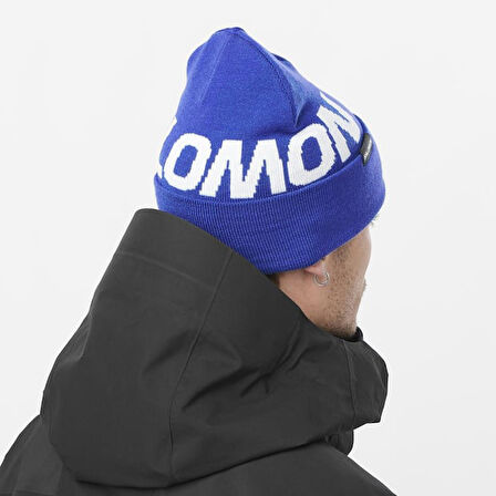 Salomon LC2152900 Hermitage Beanie Unisex Bere
