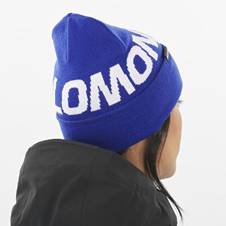 Salomon LC2152900 Hermitage Beanie Unisex Bere
