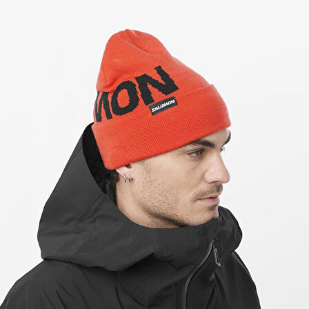 Salomon LC2152900 Hermitage Beanie Unisex Bere