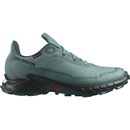 Salomon Alphacross 5 Gtx Erkek Koşu Ayakkabı