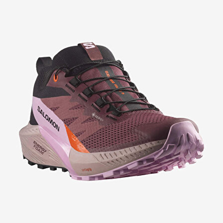 Salomon Kadın Patika Koşusu Ayakkabısı Sense Ride 5 Goretex