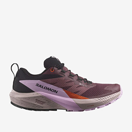 Salomon Kadın Patika Koşusu Ayakkabısı Sense Ride 5 Goretex