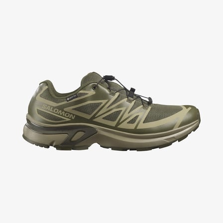 Salomon Xt-evr Gtx M Erkek Olive Night/aloe/black Outdoor Ayakkabı L47714200