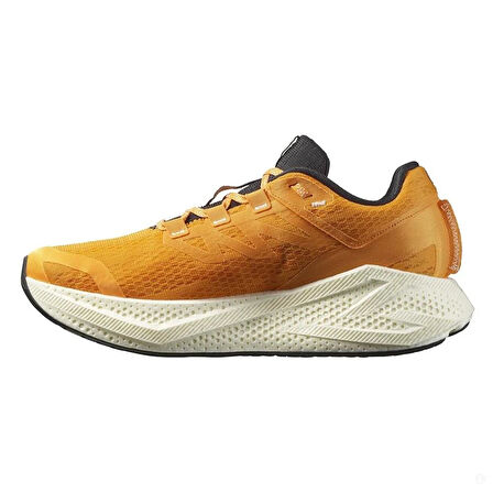 Salomon Aero Glide 3 Erkek Patika Koşu Ayakkabısı-L47756200