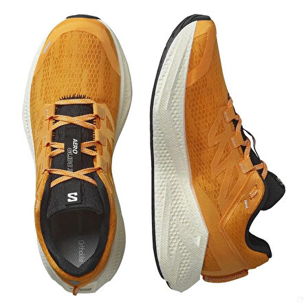 Salomon Aero Glide 3 Erkek Patika Koşu Ayakkabısı-L47756200