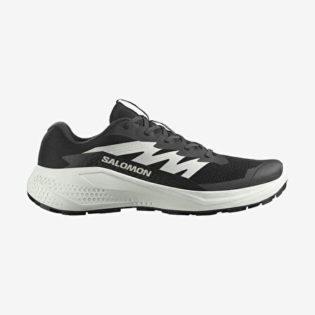 Salomon Alphaglıde Erkek Outdoor Ayakkabısı L47801000