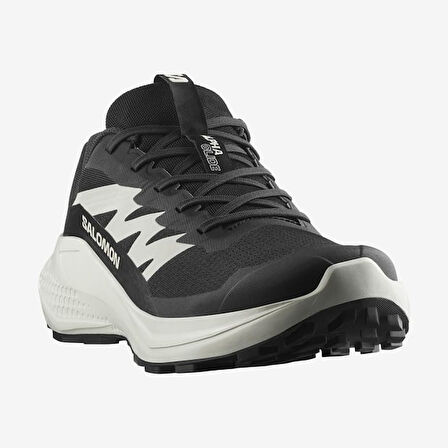 Salomon Alpha Glide L47801000 Erkek Spor Ayakkabı