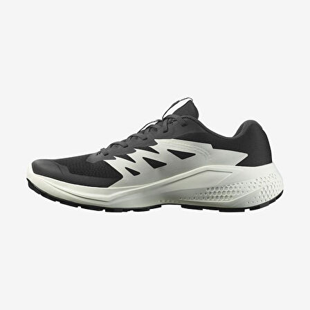 Salomon Alpha Glide L47801000 Erkek Spor Ayakkabı