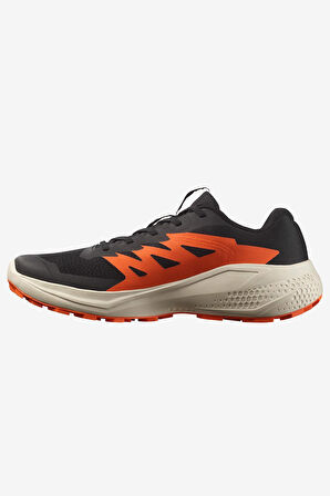Salomon Alphaglide Erkek Patika Koşusu Ayakkabı