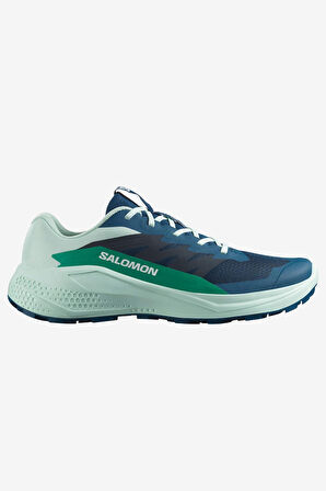 Salomon Alphaglide Erkek Patika Koşusu Ayakkabı