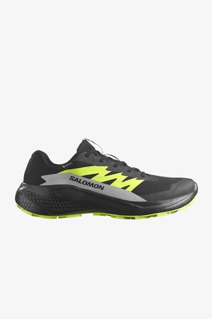 Salomon Alphaglide Gore-Tex Erkek Siyah Patika Koşu Ayakkabısı L47802000