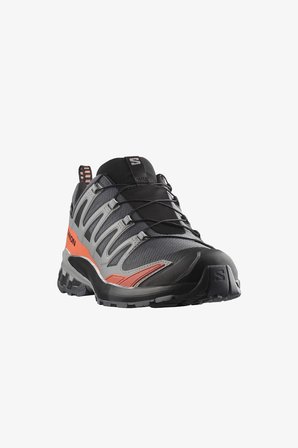 Salomon Xa Pro 3D V9 GTX Erkek Gri Outdoor Ayakkabı L47817500