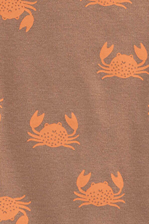 Carters Layette Çok Renkli Erkek Bebek 5'li Kolsuz Body 1O862010R