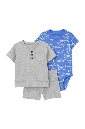 Carter's Erkek Bebek Alt Üst Set 1Q474810 Karışık Renkli