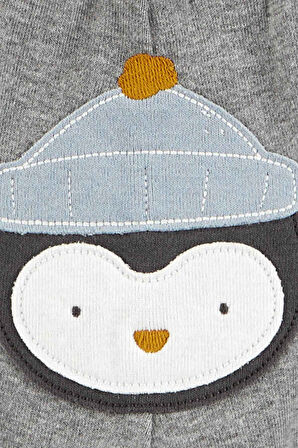 Carters Renkli Layette Erkek Bebek Body Pantolon Set 3'lü Paket 1R550210R