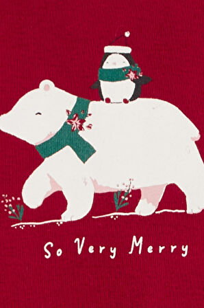 Carters Renkli Layette Kız Bebek Tulum Body Pantolon Set 3'lü Paket 1R555910R