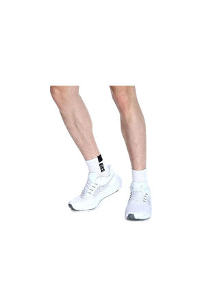 Air Zoom Pegasus 39 Erkek Koşu Ayakkabısı Dh4071-100