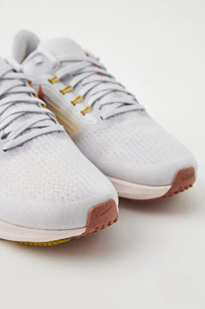 Nike Air Zoom Pegasus 39 Running Kadın Koşu & Antrenman Ayakkabısı