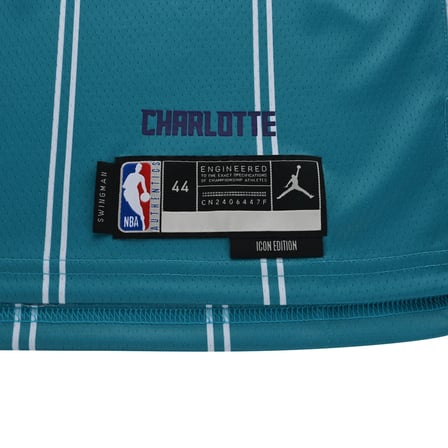 Jordan-Air Jordan Dri-FIT NBA Charlotte Hornets 